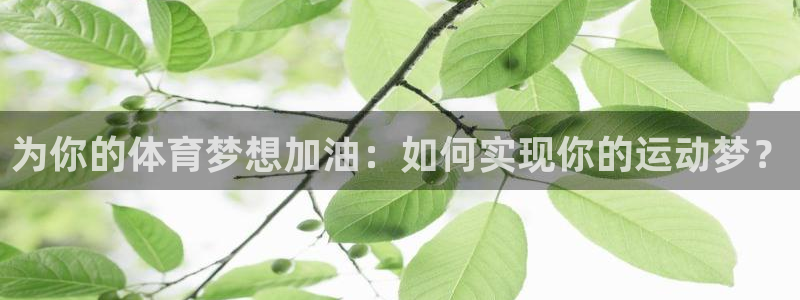 betway西汉姆：为你的体育梦想加油：如何实现你的运动梦？