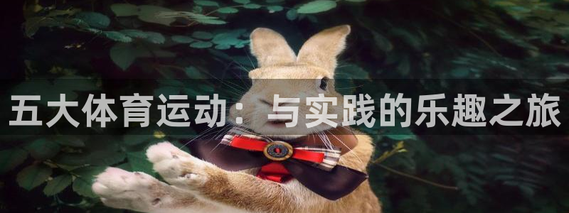 必威betway西汉姆联：五大体育运动：与实践的乐趣之旅