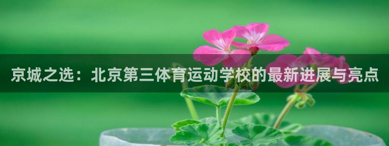 betway西汉姆官网：京城之选：北京第三体育运动学校的最新进展与亮点