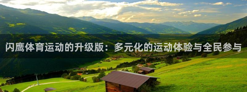 betway西汉姆联官网：闪鹰体育运动的升级版：多元化的运动体验与全民参与