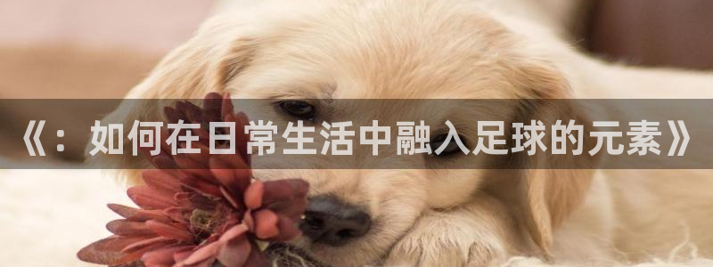 betway西汉姆：《：如何在日常生活中融入足球的元素》