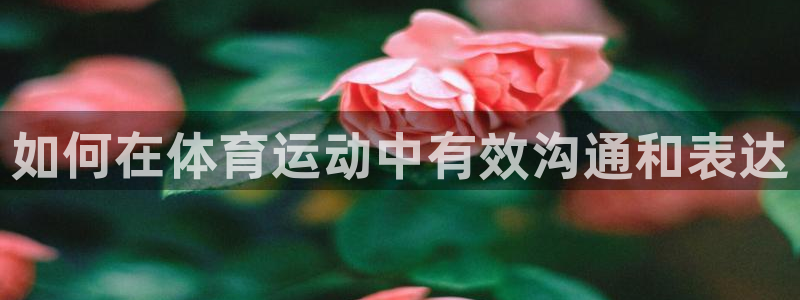 必威betway西汉姆联