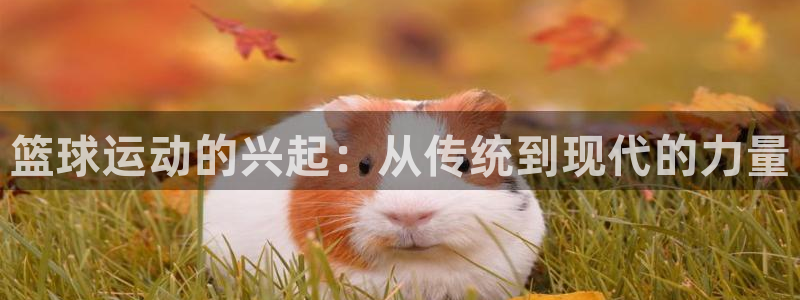 betway西汉姆联官网
