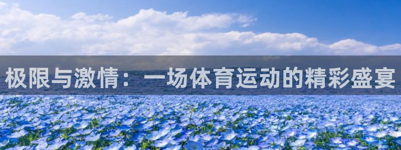 betway西汉姆官网：极限与激情：一场体育运动的精彩盛宴
