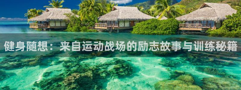betway西汉姆官网：健身随想：来自运动战场的励志故事与训练秘籍