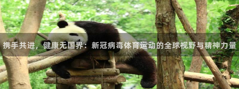 betway西汉姆联：携手共进，健康无国界：新冠病毒体育运动的全球视野与精神力量